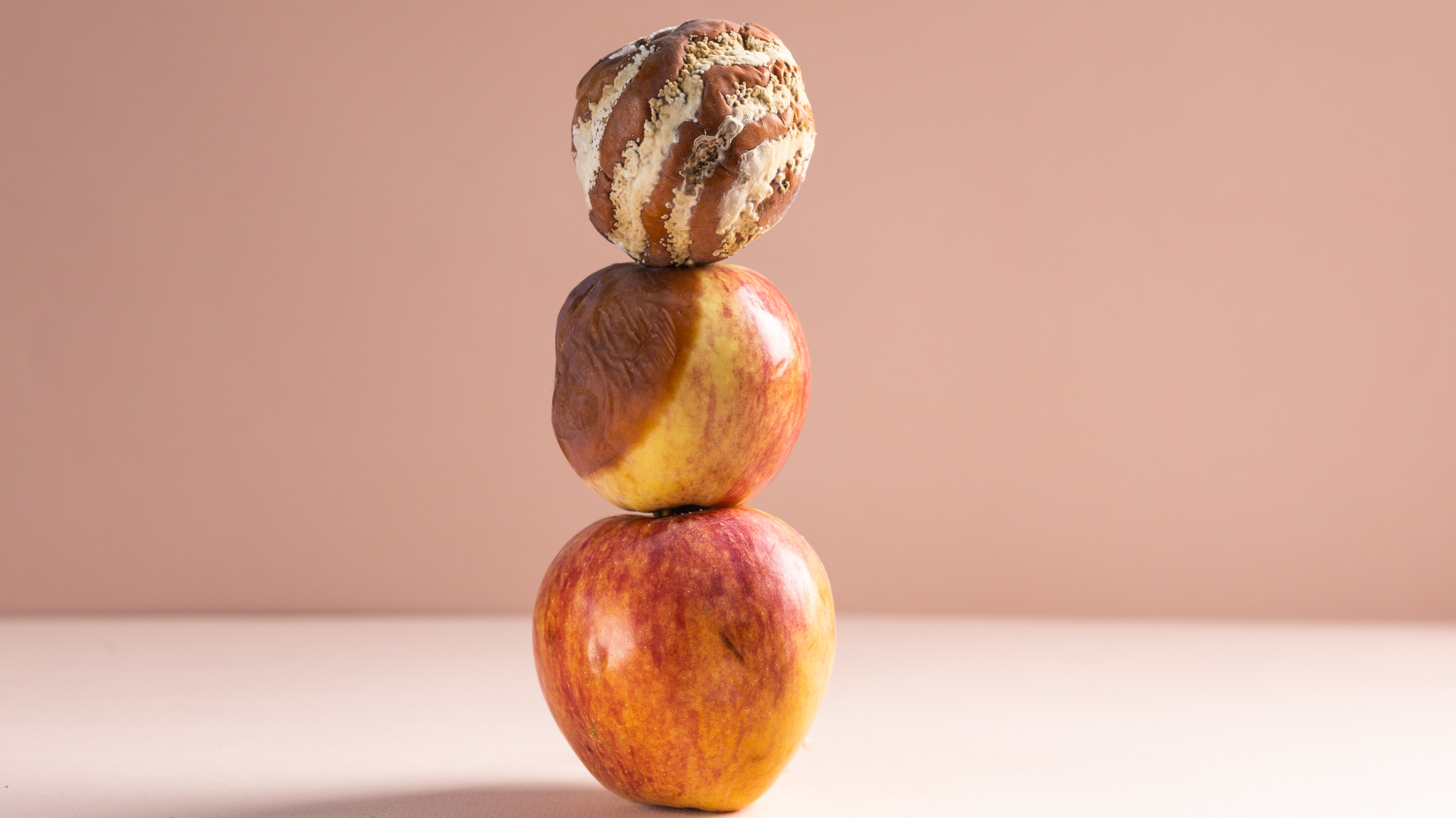 Food Spoilage in Your Restaurant