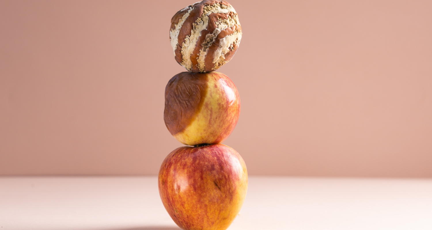 Food Spoilage in Your Restaurant