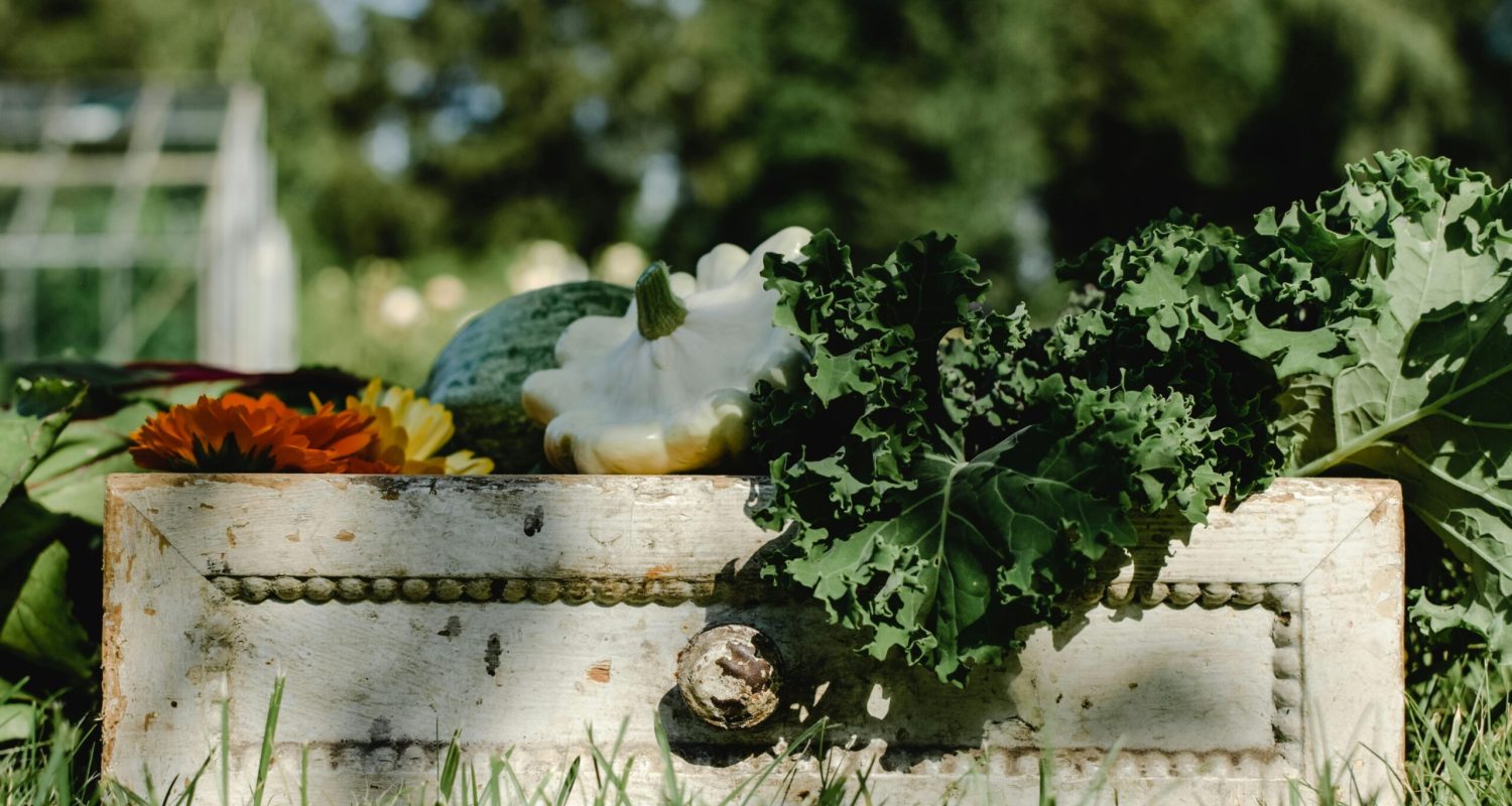 pexels-eva-bronzini-5503187